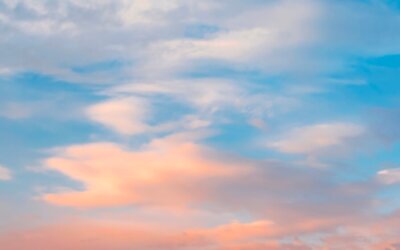 Hoe kun je verder na verlies?