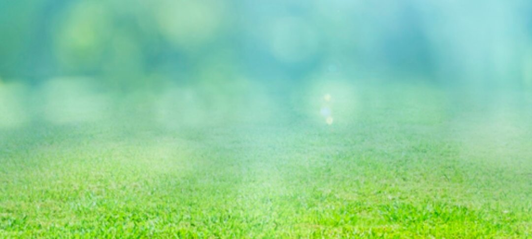 Hoe steun je iemand die rouwt?