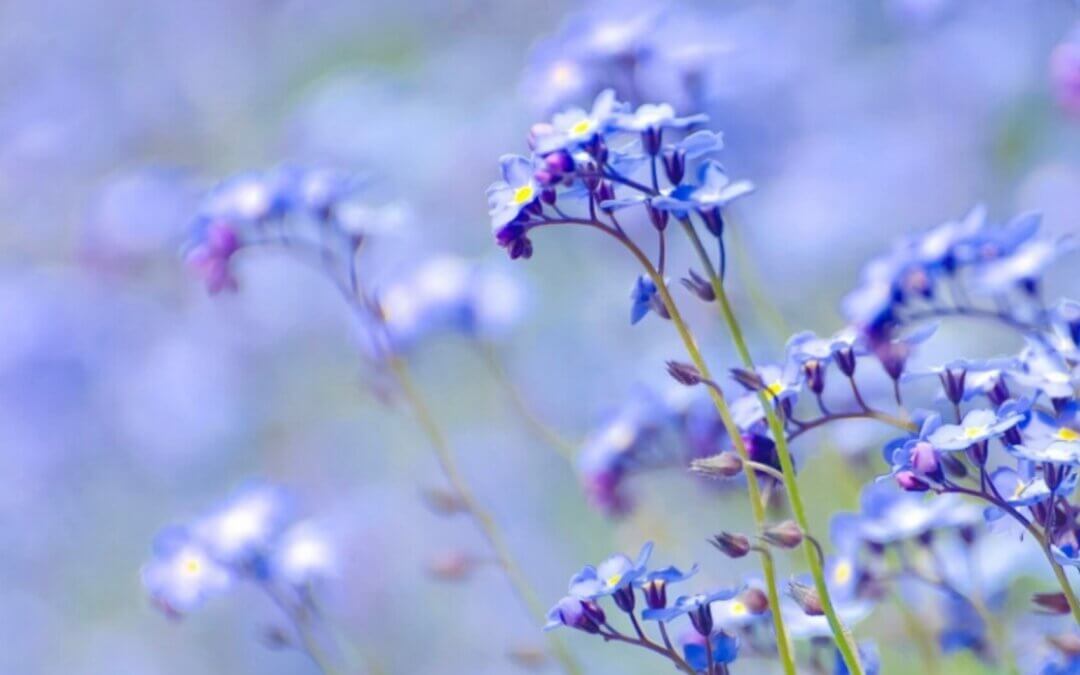 7 verlies ervaringen van een rouwcoach